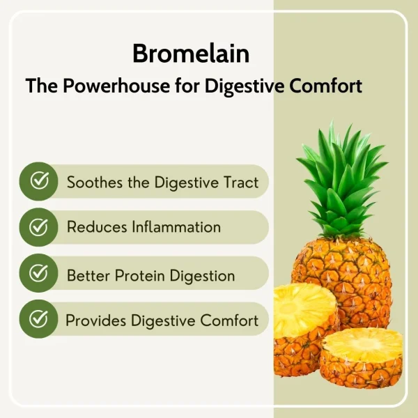 Pure Nutrition Digestive Enzymes bottle with six natural enzymes including bromelain and amylase.