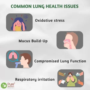 Infographic showing who can benefit from lung detox, including smokers, people in polluted areas, and those with allergies or respiratory conditions.