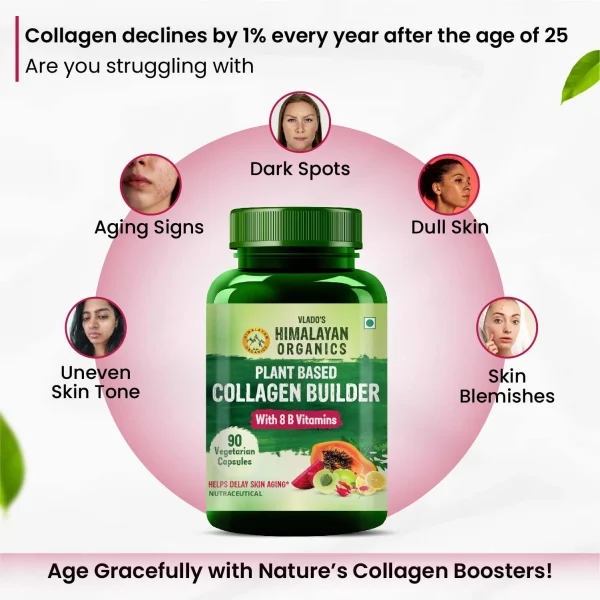 Plant-based collagen builder supplement with B vitamins, curcumin, and green tea extract for skin and hair health.