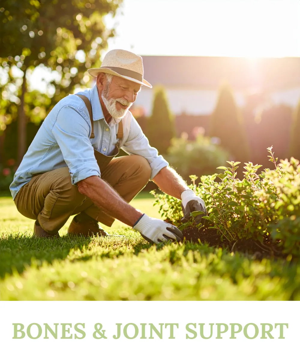 A senior man happily gardening outdoors, demonstrating an active lifestyle supported by Sihat365 for healthy bones and joint support.